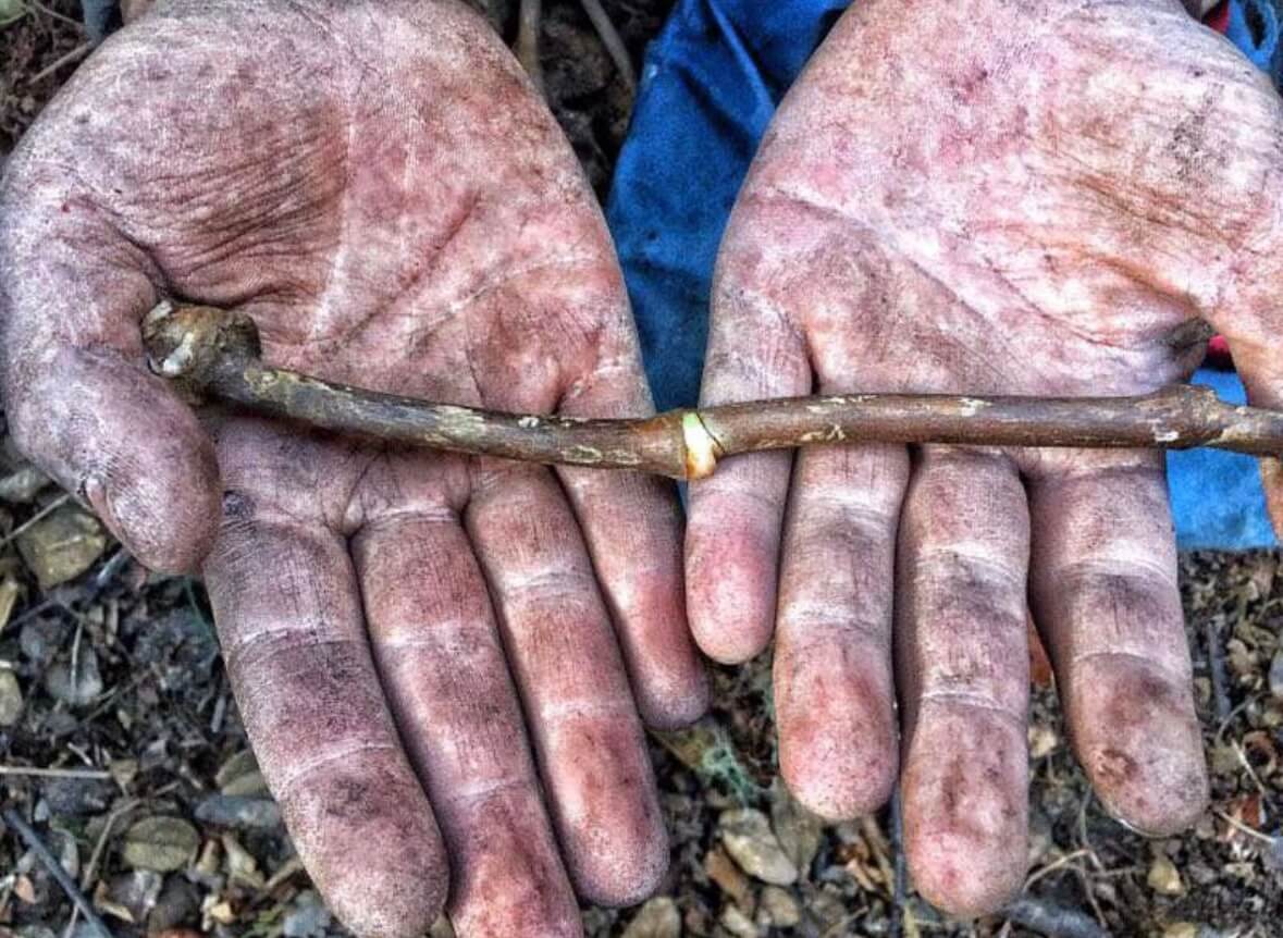 Collect rattan vine bangles