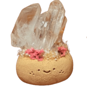 little Rock Crystal potato